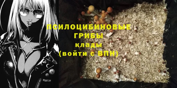 соль курить ск Ельня