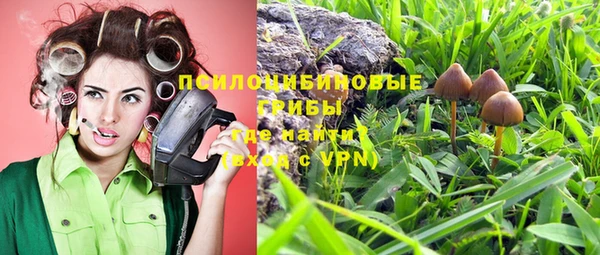 Альфа ПВП Елабуга