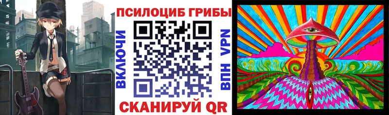 Псилоцибиновые грибы Psilocybe  Купить  Мураши 